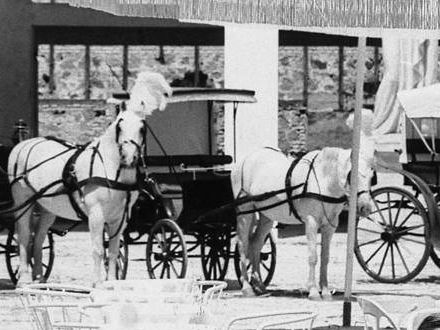 8½, diretto da Federico Fellini, 1963